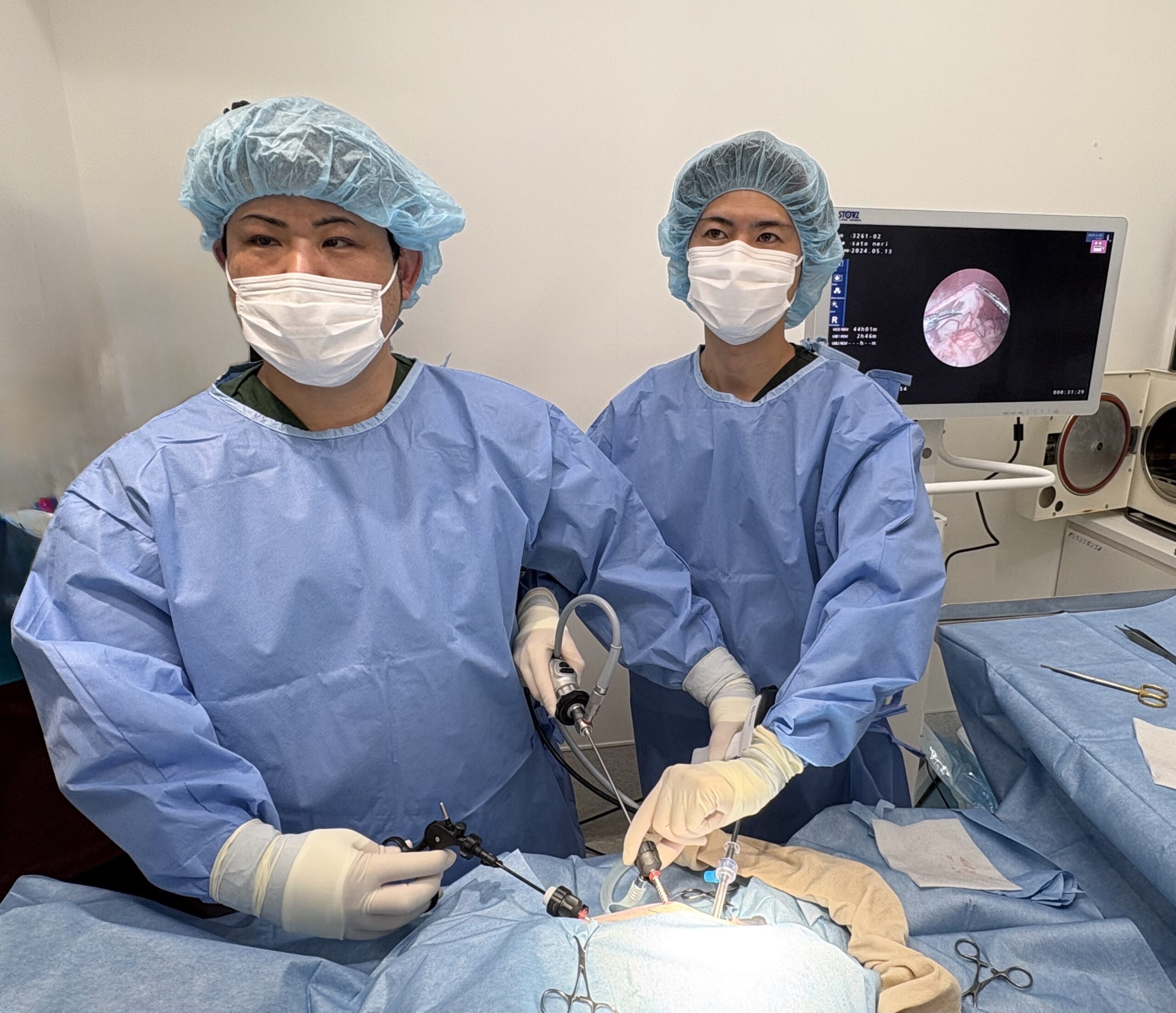 手術モニターを見ながら操作する獣医師の様子