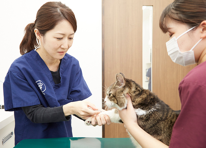 院内で飼い主へ説明している様子