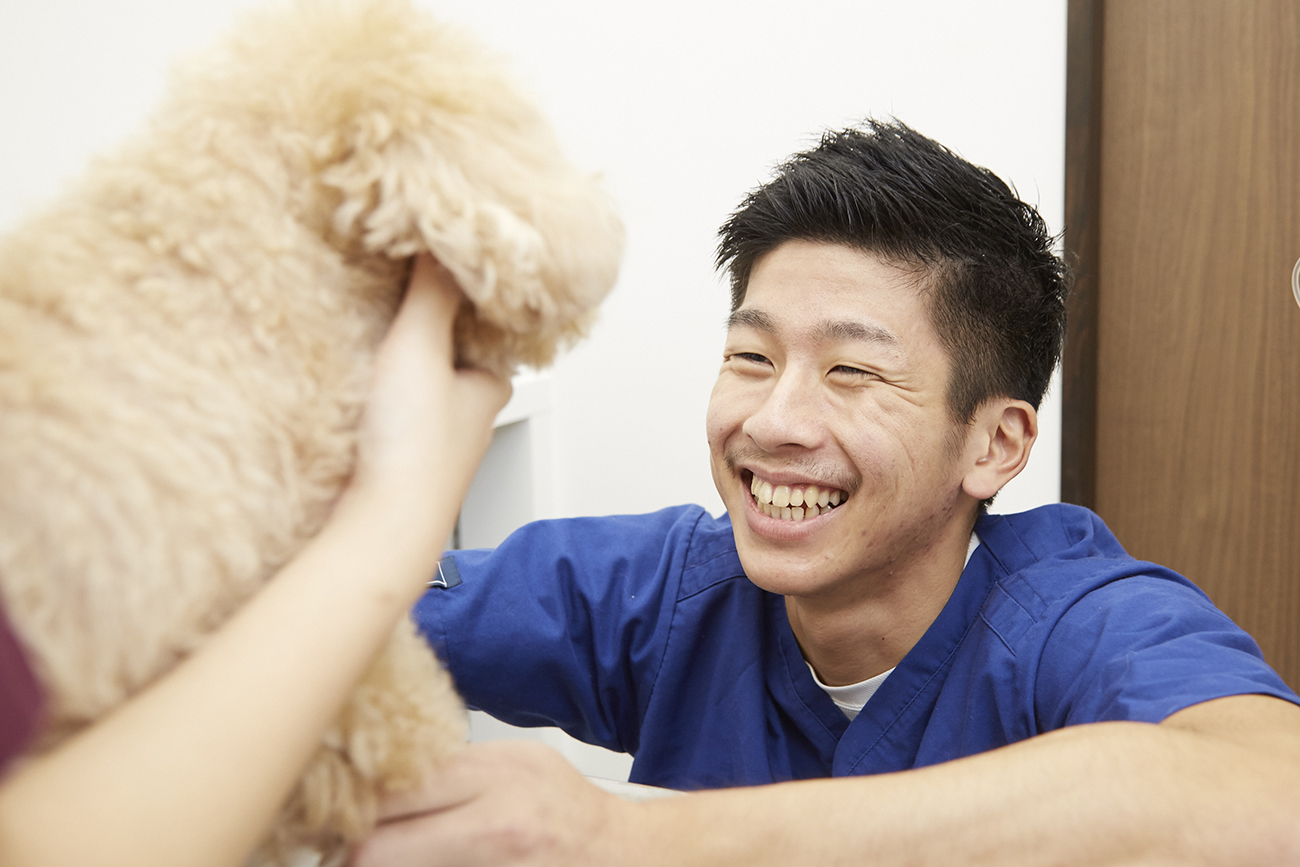 診察後、飼い主と犬・猫が安心している退院シーン