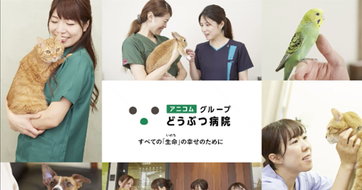 実習のお申し込みはこちら