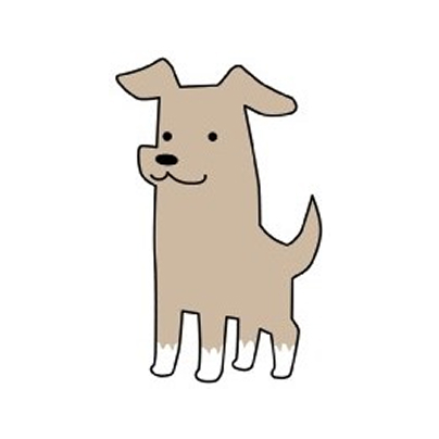 愛玩動物看護師 中西 柚葉