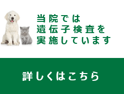 当院では遺伝子検査を実施しています