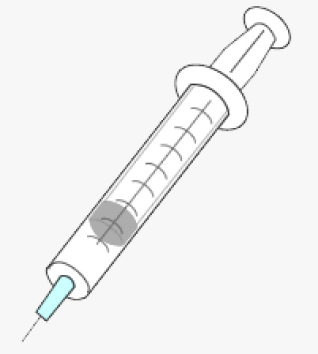 狂犬病ワクチンは接種が義務づけられています