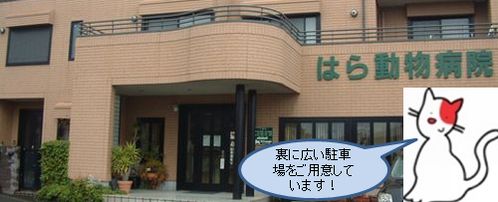 病院玄関
