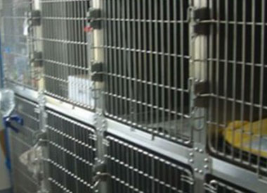 中型犬・大型犬用入院設備