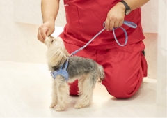 どうぶつさんのプロがいるペットホテル