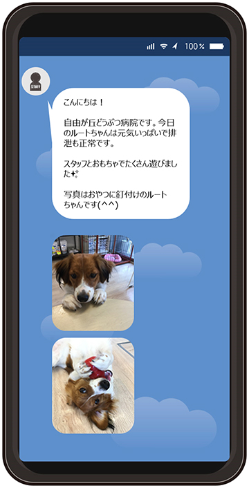 ホテルでの様子をご報告