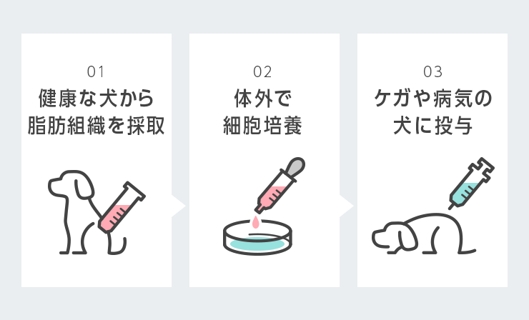｢ 再生医療（細胞治療）｣ とは？