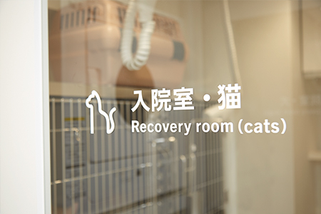 ネコちゃんのための入院室
