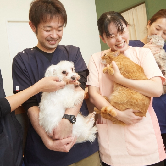 MIX犬のギガちゃん
人懐っこいですが、ご飯の時だけは人格が変わります。