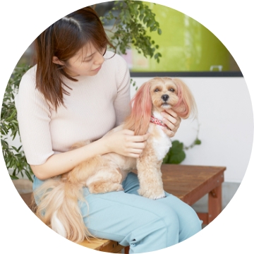 地域に密着した動物病院