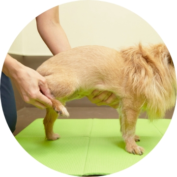 全てのライフステージに合わせたサポート