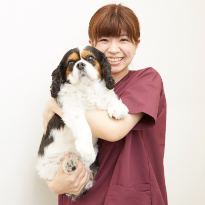 愛玩動物看護師 早川