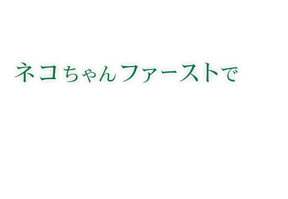 ネコちゃんファーストで