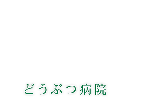 どうぶつ病院